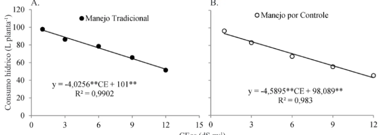 Figura 3.  Consumo hídrico acumulado para a cultivar Wonder no manejo tradicional (A) e por controle (B)Consumo hídrico (L planta-1)