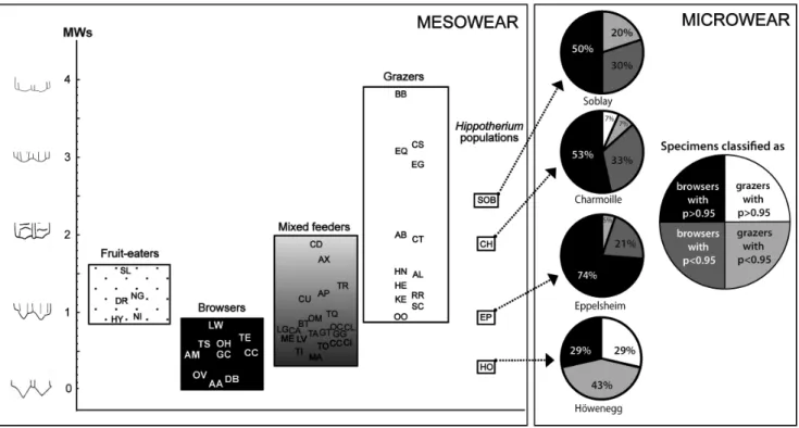 Figure 4. Molar mesowear and microwear patterns of the four populations of Hippotherium primigenium 