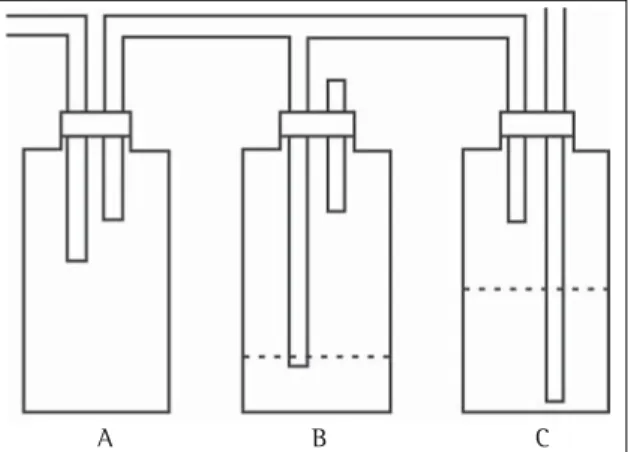 Figure 1 - Representation of balanced drainage in a postpneumonectomy pleural space (6)