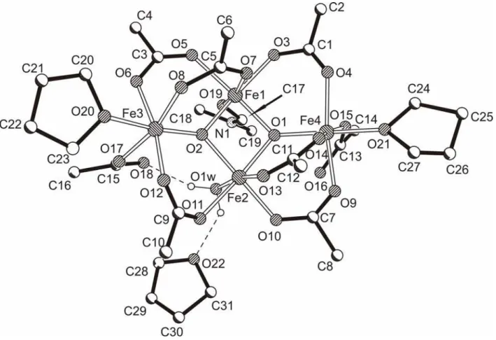 Figure 1. View of the unsymmetrical unit in crystal structure of [Fe 4 O 2 (CCl 3 COO) 8 (THF) 2 (DMF)(H 2 O)]·THF  (1)