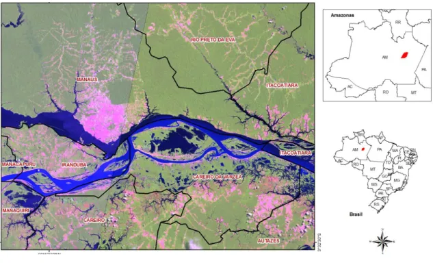Figura 1. Mapa da Ilha do Careiro, Amazonas  