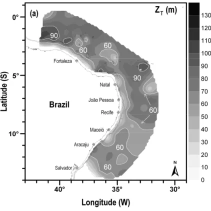 Fig. 4a. Spatial distribution of isothermal layer depth (Z T ) during austral summer (January–