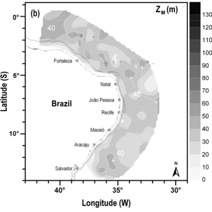 Fig. 4b. Spatial distribution of mixed layer depth (Z M ) during austral summer (January–