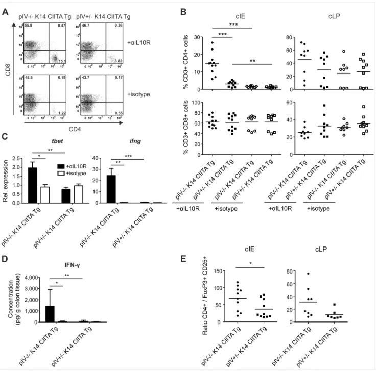 Figure 4. Colitic pIV 2 / 2 K14 CIITA Tg mice display elevated Th1 cells, IFN-c, and CD4 + T cell: FoxP3 + Treg cell ratios