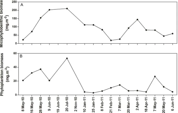 Figure 3. Time series of microalgal biomass at Listers Point. Microphytobenthic (A) and phytoplankton (B) biomass levels measured at Listers Point throughout the study period.