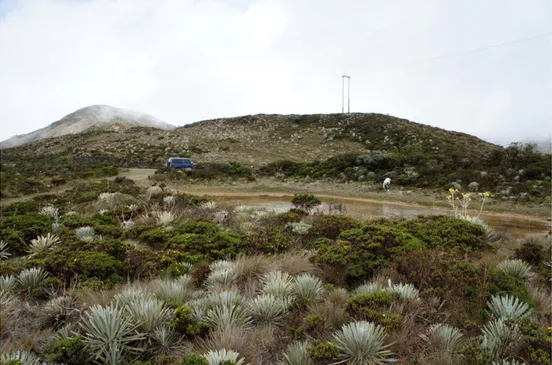 Figura 11: Zona de transición entre estepa Montano y bosque húmedo Montano, en parque Piedra  Pirela (San José de Acequias)