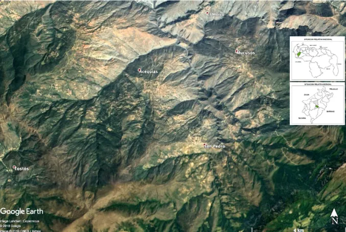 Figura 1: Imagen satelital de Google Earth®, que muestra a grandes rasgos el área de estudio entre  el triángulo definido por las aldeas Tostós, Acequias y San Pedro (Estado Mérida, Venezuela)