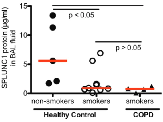 Figure 7. SPLUNC1 protein is creased in the lungs of patients with chronic obstructive pulmonary disease (COPD)