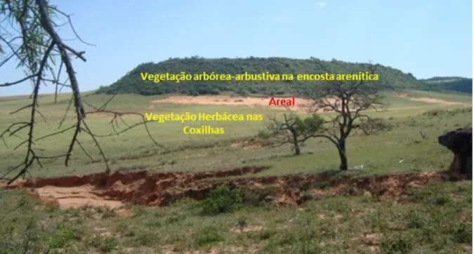 Figura 5: Cerro com encosta arenítica e vegetação arbórea-arbustiva, com areal ancorado e  vegetação herbácea nas coxilhas e rampas arenosas, Cerro da Esquina