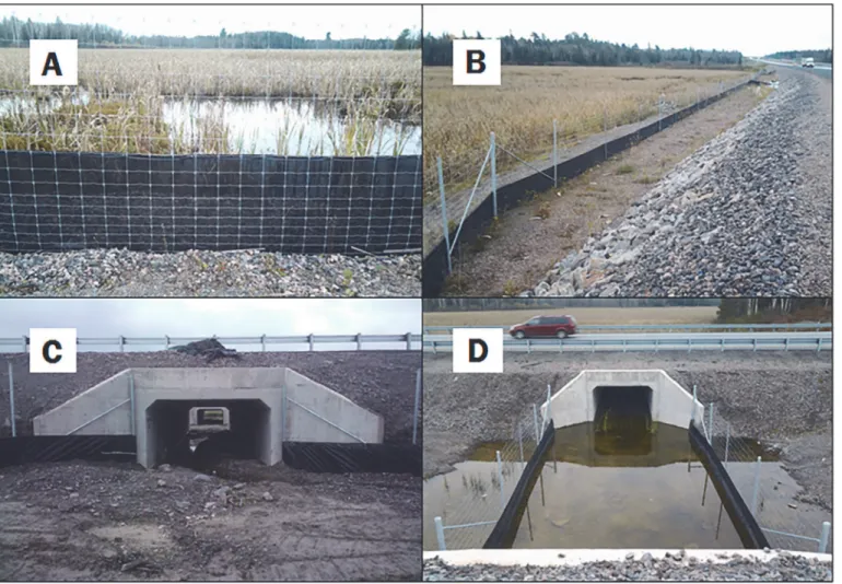 Fig 1. Mitigation measures completed during the fall of 2012 along Highway 69/400 in central Ontario, Canada