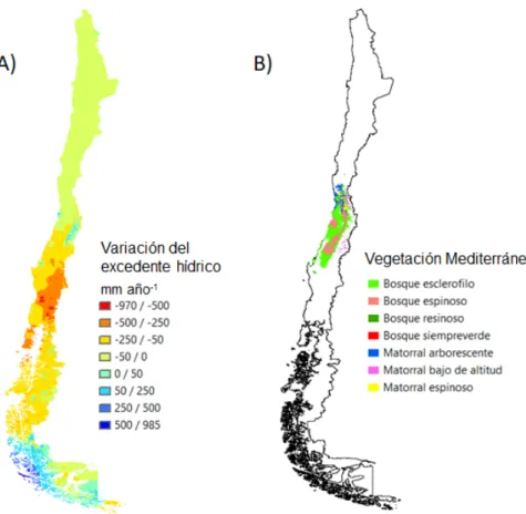 Figura 5: Variación de los recursos hídricos en Chile para el año 2050, A); y distribución actual de la  vegetación mediterránea, B)