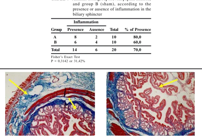 TABLE 4 - Animals from group A (with papilla dilation) and group B (sham), according to the presence or ausence of inflammation in the biliary sphincter