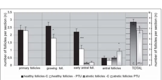 Figure 6. Number of follicles in ovaries of control (c) and PTU-treated (PTU) rats (*- p&lt;0.05, ***- p&lt;0.001)