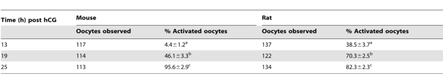 Table 6. Activation rates of mouse or rat oocytes collected at different times post hCG injection.
