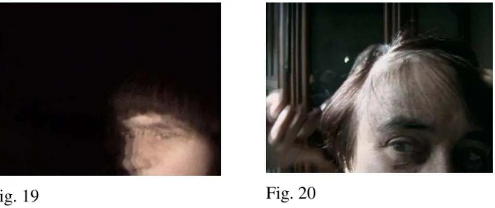 Fig. 19  Fig. 20 