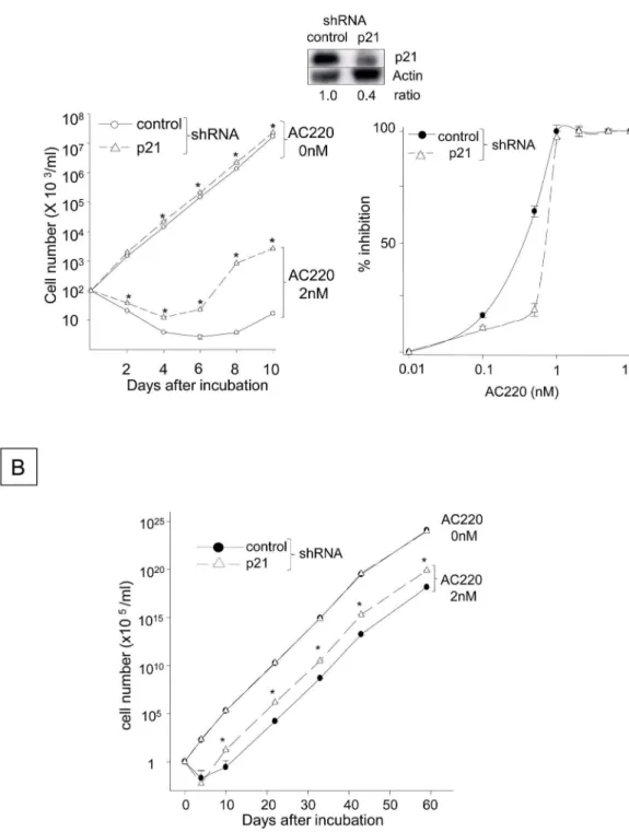 Fig 6. Silencing p21 Accelerates the Emergence and Proliferation of FLT3-ITD + Cells Refractory to AC220.