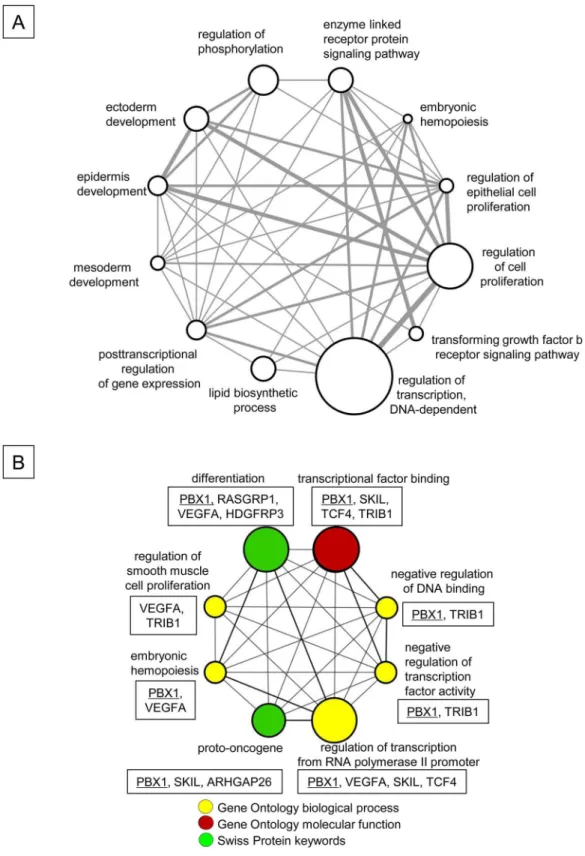 Fig 7. Enhanced Proliferation of FLT3-ITD + KSL Cells by p21 Deletion is Associated with Alteration of Expression of Genes Linked to Various Biological Functions