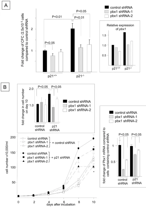 Fig 9. Pbx1 Knockdown Abrogates the Enhanced Proliferation of FLT3-ITD + HPCs Induced by p21 Deletion