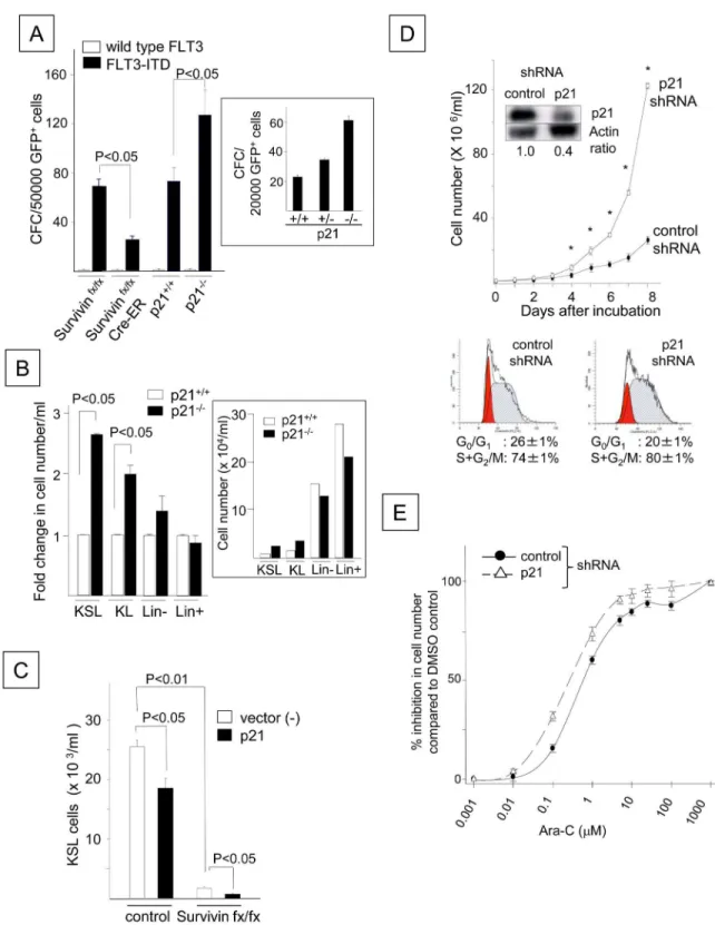 Fig 3. FLT3-ITD Attenuates the Growth Factor-independent Proliferation and Cell Cycle Progression of