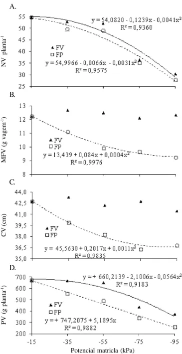 Figura 2. Número de vagens - NF (A), massa fresca de vagens - MFV (B), comprimento de vagens - CV (C) e produção de vagens - PV (D) das plantas de  feijão-de-metro em função do potencial matricial nas duas fases fenológicas (FV - fase vegetativa, FP - fase