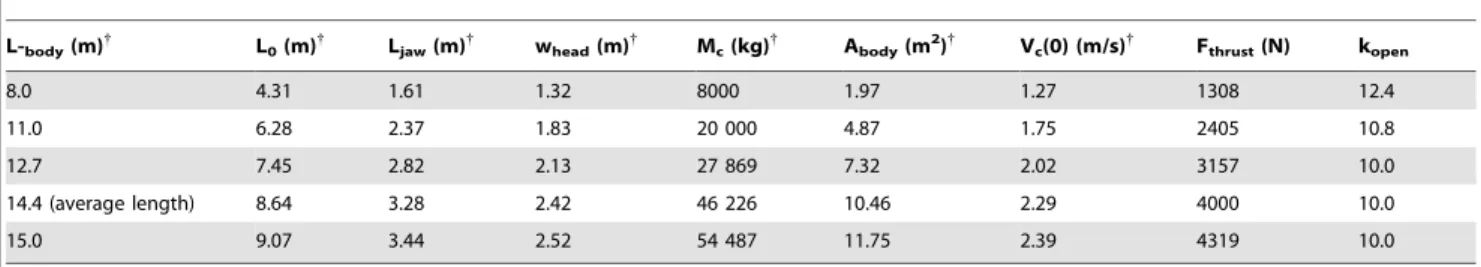 Table 4. BLF3 simulation inputs – minke whales.