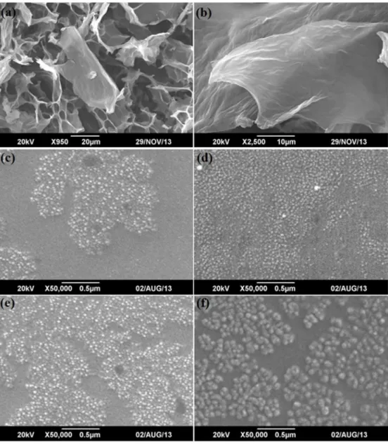 Fig 2. Scanning Electron Micrographs (a-b) Graphene oxide (e-f) NiFe 2 O 4 , NFG5, NFG7 and NFG10.