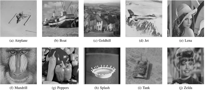 Fig. 5. Sample test images used in the experiments