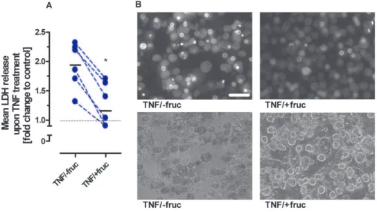 Figure 3. Fructose pretreatment attenuates TNF-induced hepatocytic cell death. Cultured PHH of six different donors were treated with 400 ng/ml ActD alone or in combination with 100 ng/ml TNF and 50 mM fructose as indicated