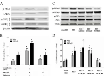 Fig 3. The role of opioid receptors signaling in remote electro-stimulation (RES)-induced myocardial GSK3 and PKCε expression