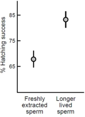 Figure 2. Relationship between sperm longevity and offspring hatching success. Points represent least squares mean ( ± SE).