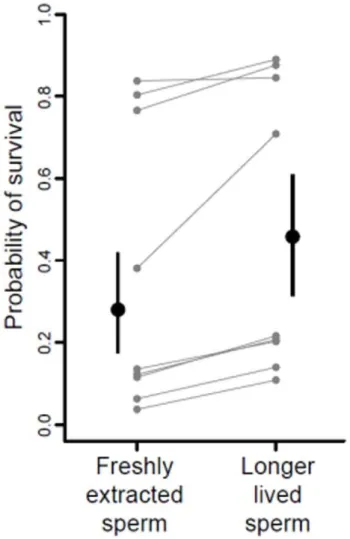 Figure 3. Relationship between sperm longevity and offspring survival for two weeks in the field