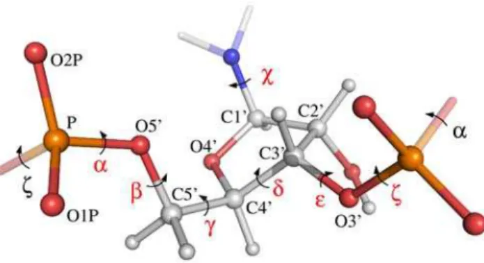 Figure 2. BARNACLE: a dynamic Bayesian network (DBN) that models the dihedral angles in an RNA fragment