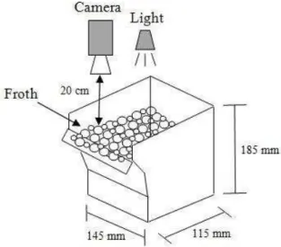 Fig. 1. Laboratory-scale batch flotation cell and video  camera set-up  