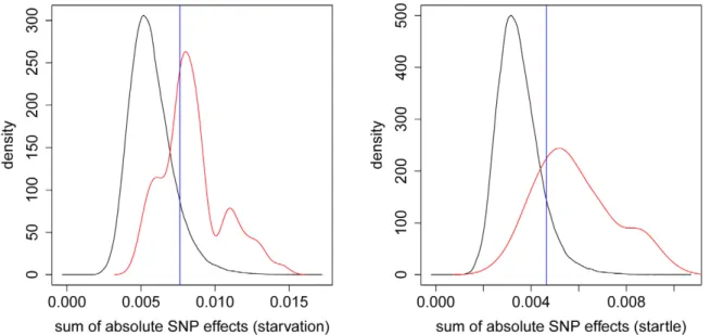 Figure 7. Distribution of absolute SNP effects. The density of the sum of the absolute SNP effects from GBLUP is plotted for sliding windows of 100 adjacent SNPs covering the whole genome (black) and for windows around the 75 most significant SNPs (red) ac