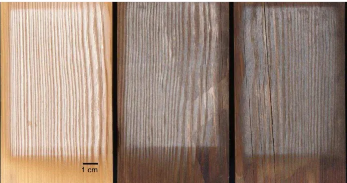 Fig. 6. Visible impression of changes in colour and cracks for untreated (left), 10% (middle), and  20% treated (right) samples weathered after 955 hours under artificial conditions 