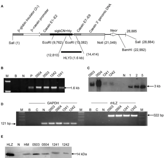 Table 1. Raw components of transgenic milk compared with conventional milk.