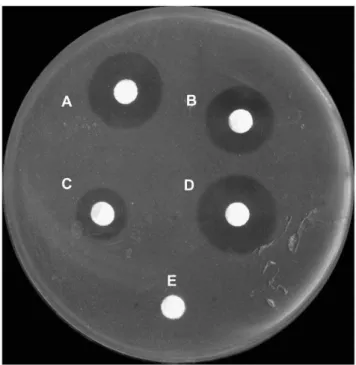 Figure 3. Lytic activity of rHLZ, HLZ, and hen egg white lysozyme against Micrococcus lysodeikticus 