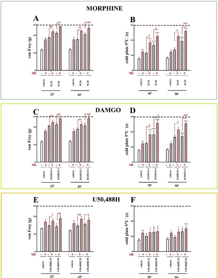 Figure 2. The effects of morphine, DAMGO and U50,488H on vehicle- and minocycline-treated CCI-exposed rats