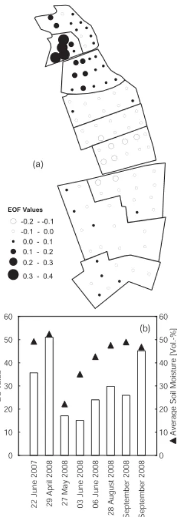Fig. 5. EOF1 (a) and EC1 (b) patterns of the spatial analysis in the grassland test site; the triangles in (b) represent the average soil moisture on the di ff erent days.