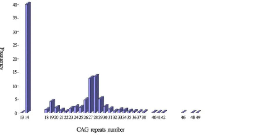 Fig 2. The distribution of the CAG repeats in 2006 wild-type chromosomes.