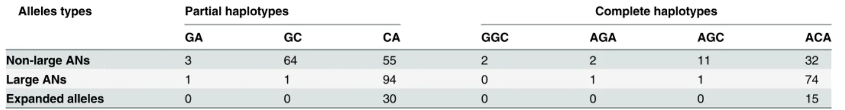 Fig 3. The distribution of the haplotypes defined by C 987 GG/G 987 GG and TAA 1118 /TAC 1118 according to CAG repeat number.