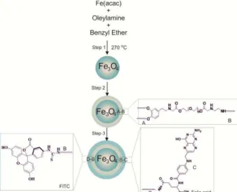 Figure  1. Schematic  representation  of  step-wise  synthesis  of  Fe 3 O 4 -DPA-PEG-FA/FITC nanoparticles