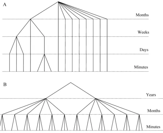 Figure 1. Sampling design used to evaluate variability at different temporal scales. Scheme of the sampling design followed on each reef, for each of the five species censused in 12 reefs within Nuevo Gulf (A), and for Pseudopercis semifasciata censused in