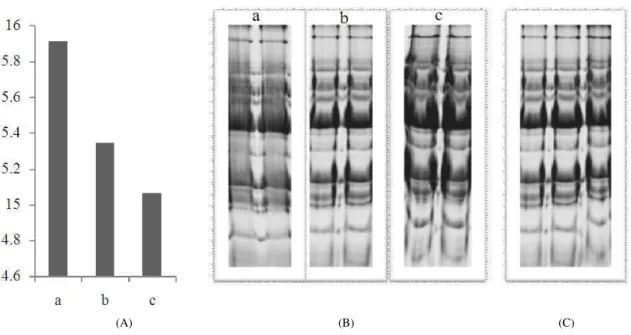 Fig. 2.  Comparison of the extracted protein from horsegram seeds by quantification and 1-DE analysis