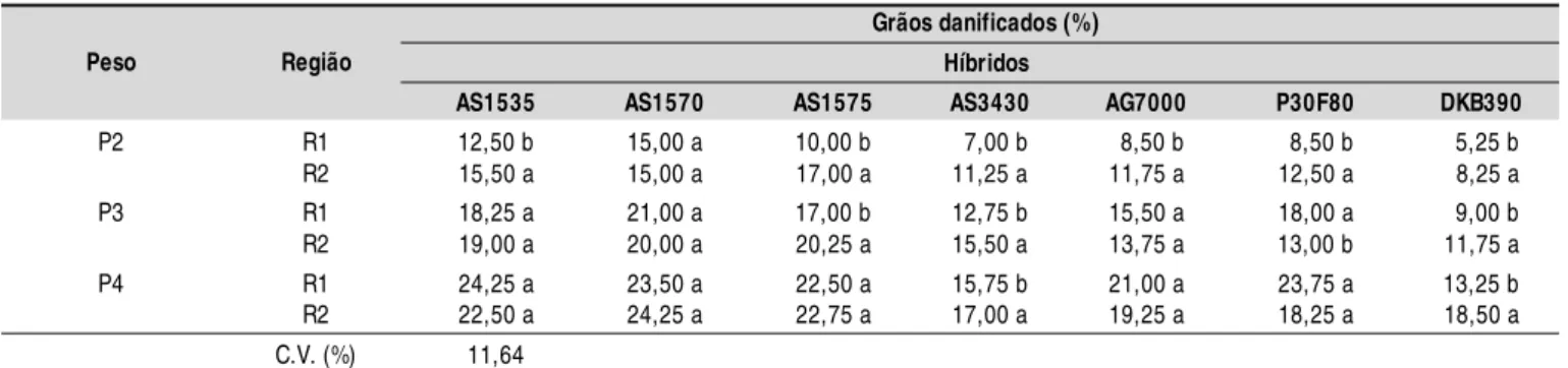 Tabela 2. Porcentagens de grãos dani ficados em híbridos de mi lho no teste de impacto, na altura de 7 cm (A1), em diferentes pesos, comparando-se as regiões