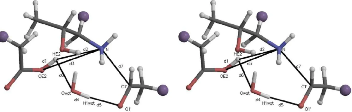 Figure 9. A stereogram for transfer of a proton between a protonated Glu22 carboxylate and an unprotonated N–terminal amine.