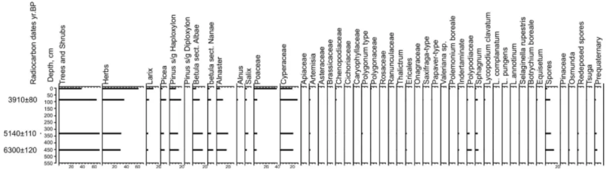 Fig. 2. Spore-pollen diagram at section 0904. Bulkurskaya channel.