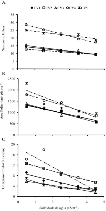 Figura 1. Número de folhas (A), área foliar (B) e comprimento do caule (C) em cultivares de alface produzidas em casa de vegetação e irrigada com água salina