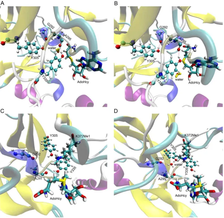 Figure 5. Molecular docking and MD simulations. (A) The water is leaving in the channel at t = 139.200 ns