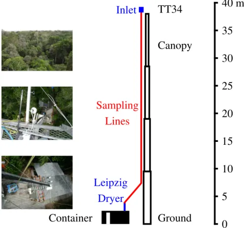 Fig. 1. Diagram of four-section telescopic tower (TT34), showing positions of inlet, canopy, sampling lines, dryer, and instrument container.